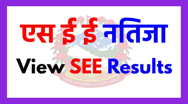 how to check see result-2